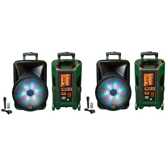 2 MR DJ DJ12BAT+ 12" Portable Bluetooth Speaker