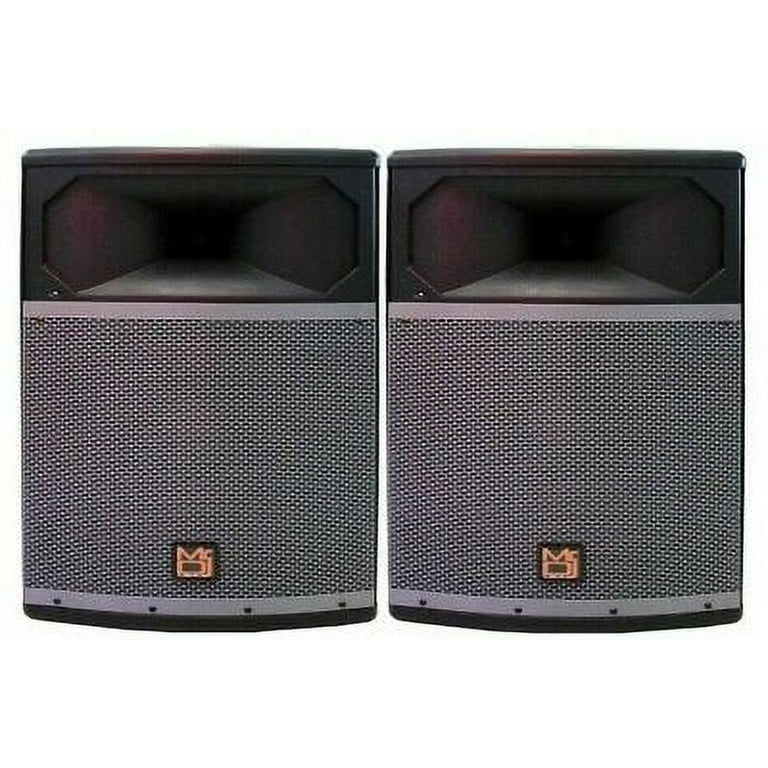 Professional dj best sale speakers