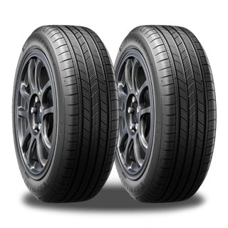 Michelin 225/55R19 Tires in 19