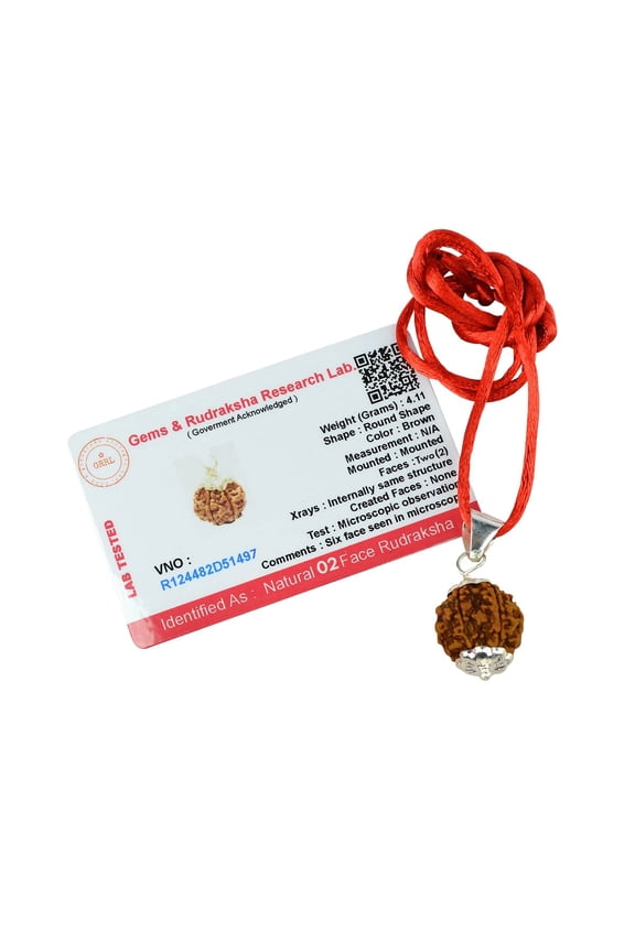 2 Mukhi Rudraksha/Two Faced Rudraksha Pendant Original Rudraksha Locket (Color : Brown) Certified