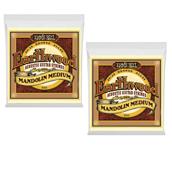 2 PACK Ernie Ball Earthwood Mandolin Medium Loop End 80/20 Bronze Strings P02065