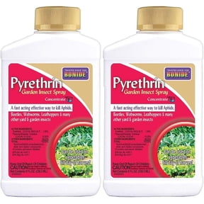 Pyrethrin Insecticide Products for Gardens