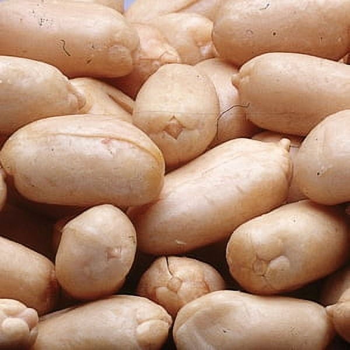2 PACKS : Azar Nut Raw Blanched Peanut, 12.5 Pound