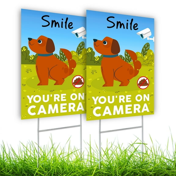 Dimarongton 2 PC Smile You're On Camera Signs - 8x12 DS Coroplast, Multicolor