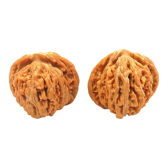 2 PCS Chinese Walnuts Fidget,Walnut Hand Massage Balls,for Travel and Meditation Therapy (1 Set)