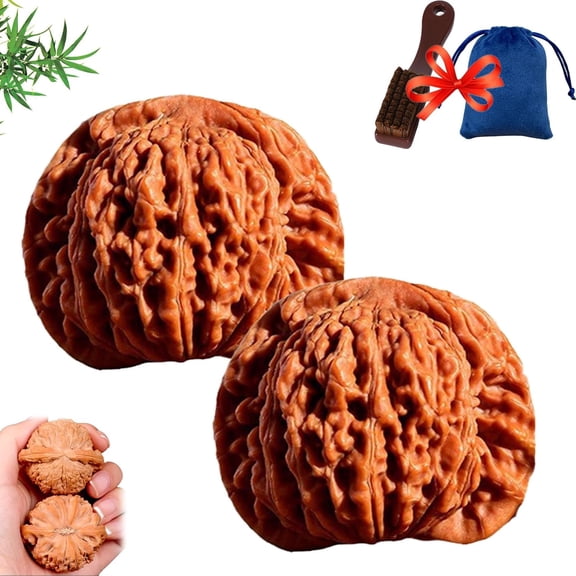 2 PCS Chinese Walnuts Fidget,Walnut Hand Massage Balls,for Travel and Meditation Therapy