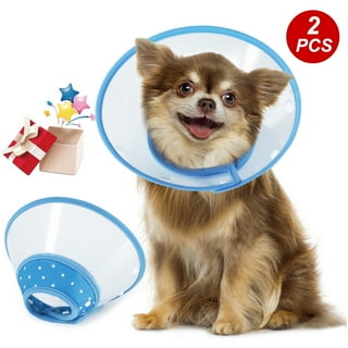 Pet cones top near me
