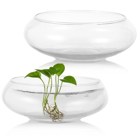 2 PCS Glass Bowl Vases, Wide Mouth Round Glass Terrarium, Glass Hydroponic Planter, Clear Floral Container, Fish Tank Aquarium