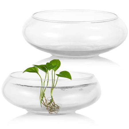 2 PCS Glass Bowl Vases, Wide Mouth Round Glass Terrarium, Glass Hydroponic Planter, Clear Floral Container, Fish Tank Aquarium