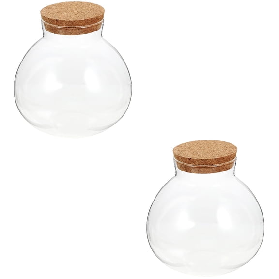 2 PCS Microlandscape Ecological Bottle Micro-landscape Glass Jar Plant Round Keepsake Flower