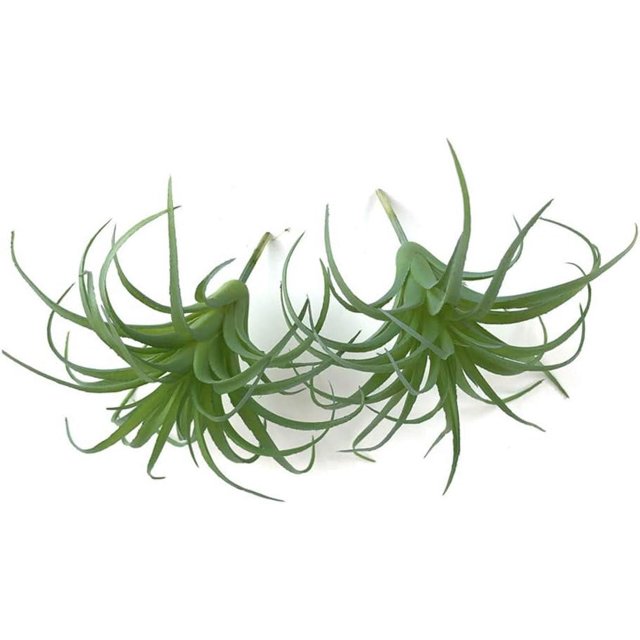 2 PCS Mini Artificial Succulents Plants Unpotted Faux Cactus Fake