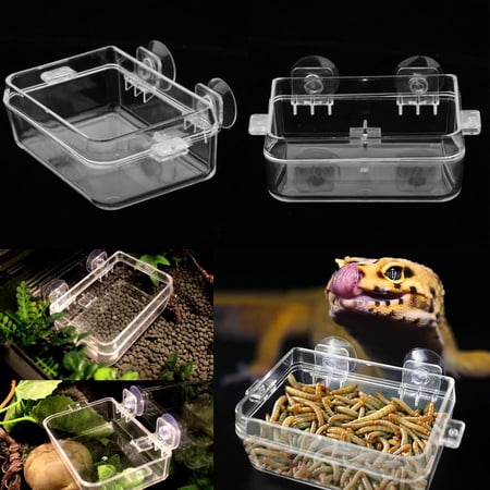 2 PCS Reptile Feeding Bowl , Suitable for Reptiles, Such as Tortoise, , Gecko, Frog, , ect.
