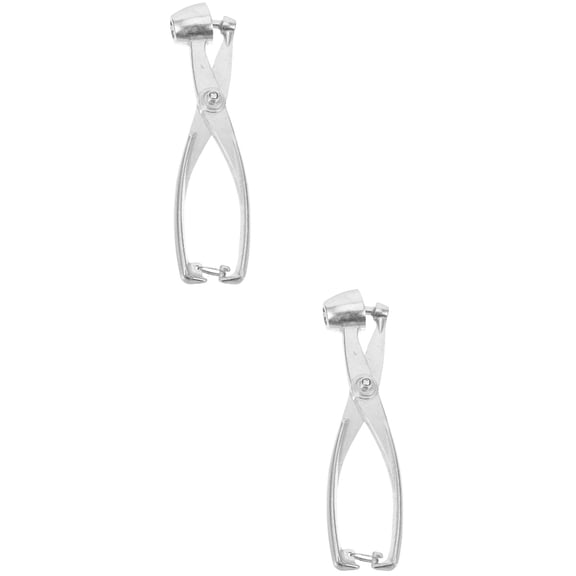 2 PCS Small Tools Practical Metal Cherry Pitter Core Removing Pliers Corer Enucleated