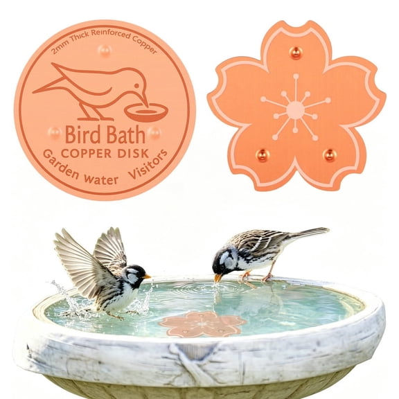 2 Pack 0.8mm Bird Bath Copper Disk 4 Inch Thick 99.9% Pure Copper Disc with Triple-Point Support, Natural Water Cleaner for All-Season Use, Universal Fit for Outdoor BirdBaths Bowls