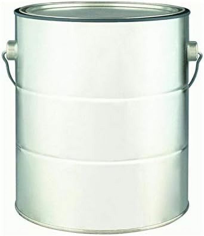 2 Pack 007.0060689.000 Empty 1 Gallon Paint Can