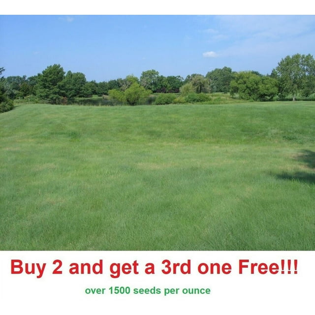 (2Pack) 1 oz BUFFALO GRASS Seed Native Prairie Sedge Low Maintenance Drought Heat Turf