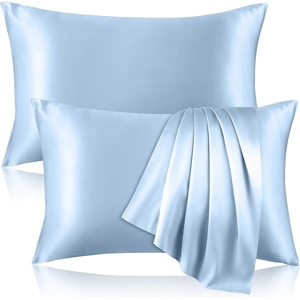 2 Pack 100% Pure Silk Pillowcase for Hair and Skin, Both Sides Mulberry Silk Pillowcases with Hidden Zipper, Cooling Pillowcase 19 Momme, 600 Thread Silk Pillow Cases Standard Size, Light Blue