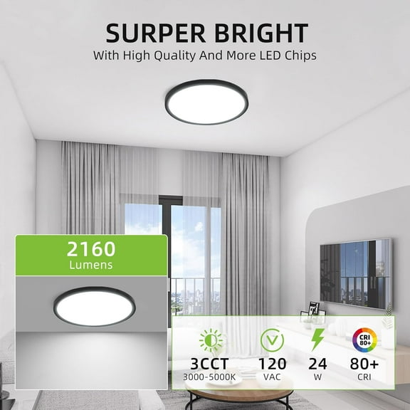 2 Pack 12 Inch Selectable CCT LED Round Flat Panel Light, 24W, 3000K/4000K/5000K, Edge-Lit Flush Mount Ceiling Light Fixture for Kitchen, Bedroom and Closet Room, Black