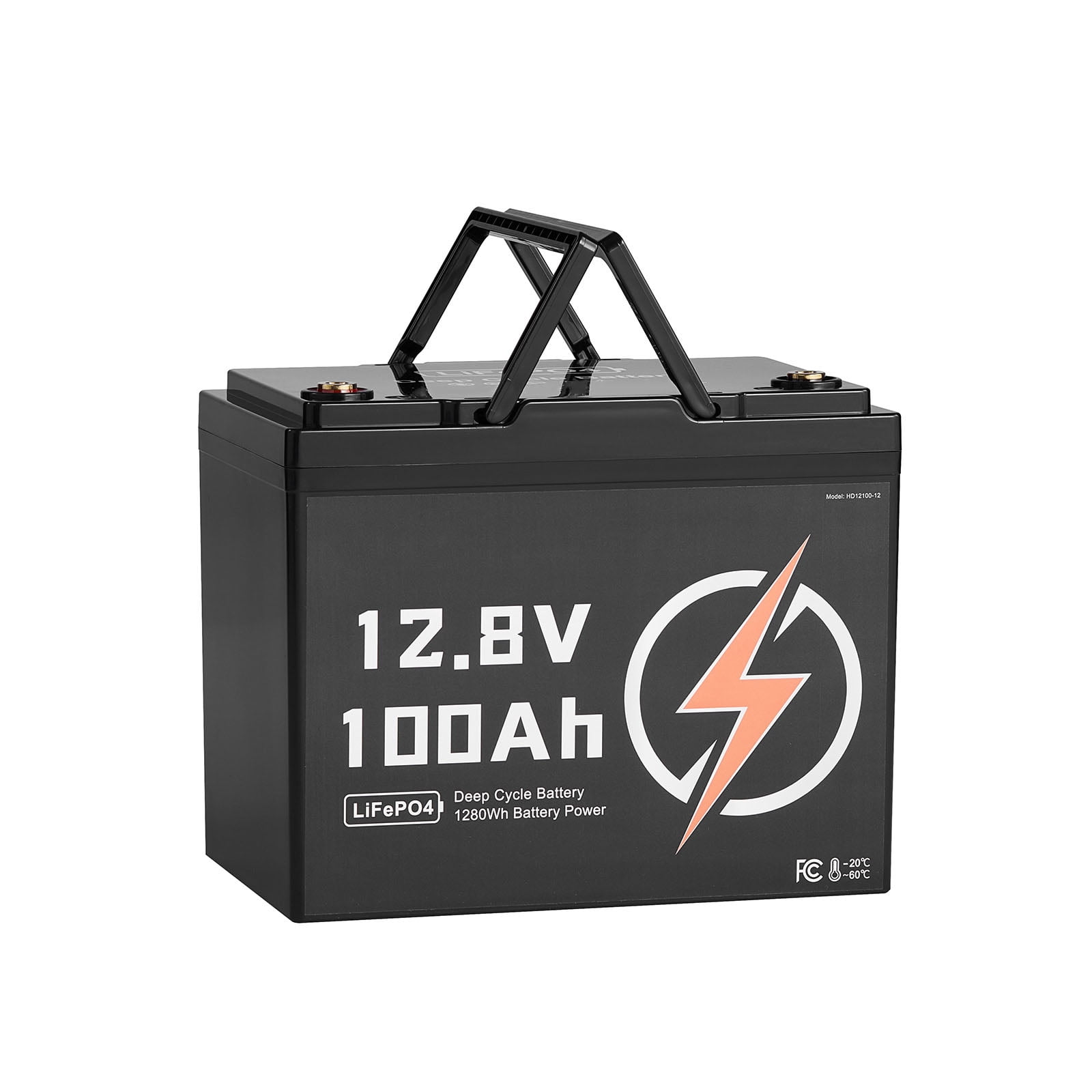 2 Pack 12V 100Ah Deep Cycle LiFePO4 Battery BMS Lithium Iron Phosphate Battery