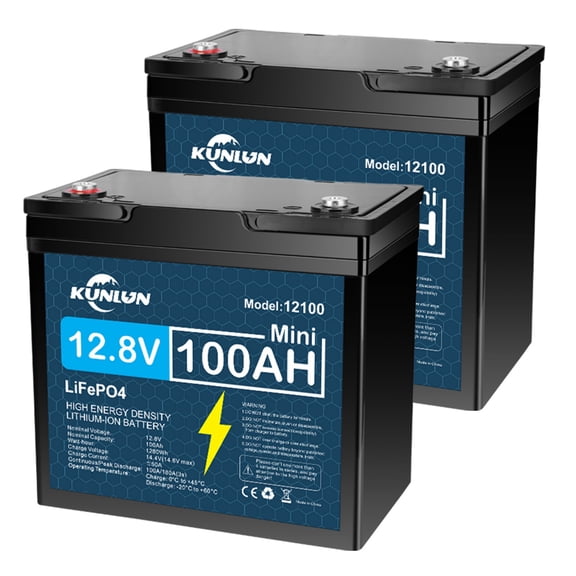2 Pack 12V 100Ah LiFePO4 Lithium Battery, Built-in 100A BMS, for RV, Marine