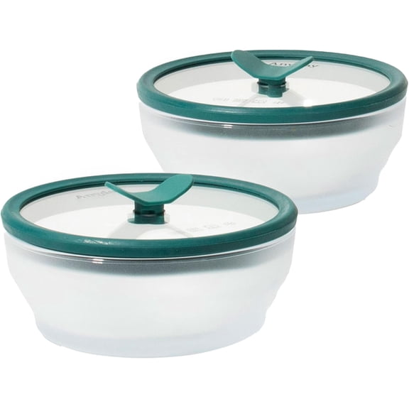 2-Pack 2-Cup Frosted Glass Food Storage Set with Airtight Vented Silicone Lids