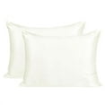 thumbnail image 1 of 2-Pack 22 Momme Mulberry Silk Washable Pillowcases, Queen, Beige, 1 of 8