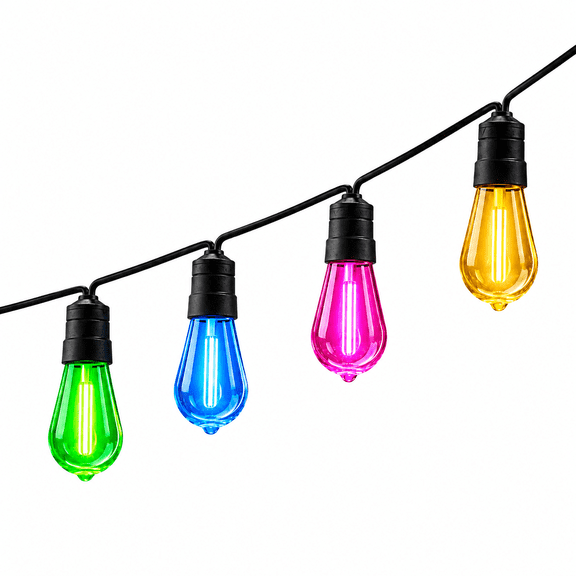 Homestead 2-Pack 24ft RGBW Color-Changing LED String Lights with Remote, Indoor/Outdoor, 24 Bulbs