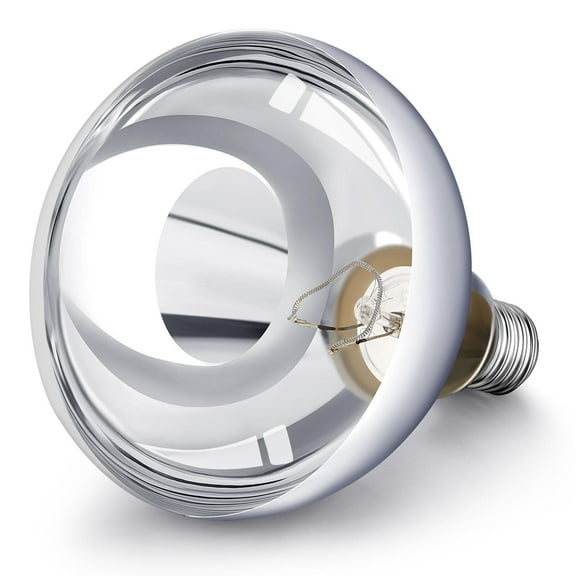 2 Pack 250 Watt Heat Lamp Bulb, R40 120v Incandescent Heat Light Bulb for Bathroom, Reptiles, Chicks & Puppies, E26 Base Silver - Ideal Reptile Night Heat Bulb & Bathroom Heater