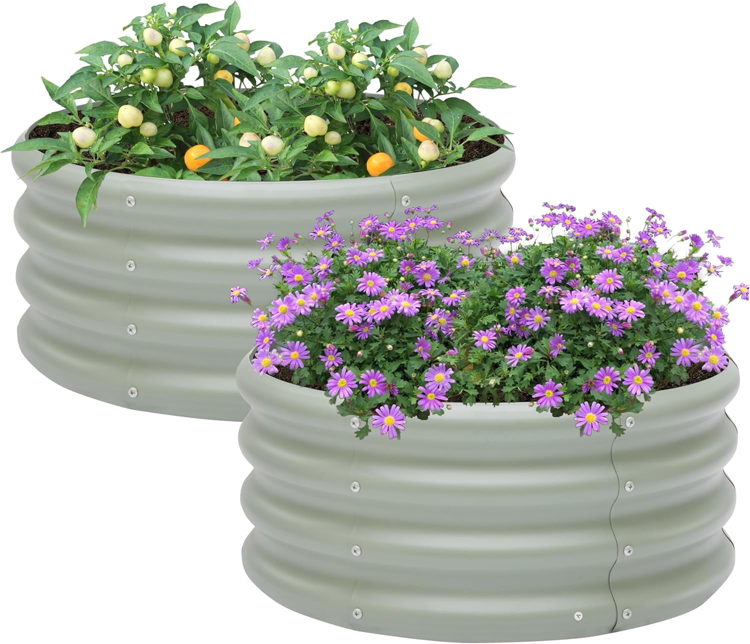 Picture of 2-Pack 2x1ft Galvanized Raised Garden Bed, Outdoor Planter Bed, Metal ...