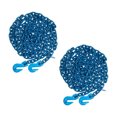 2 Pack 3/8 Inch x 20 FT G100 Transport Binder Chain with Clevis Grab