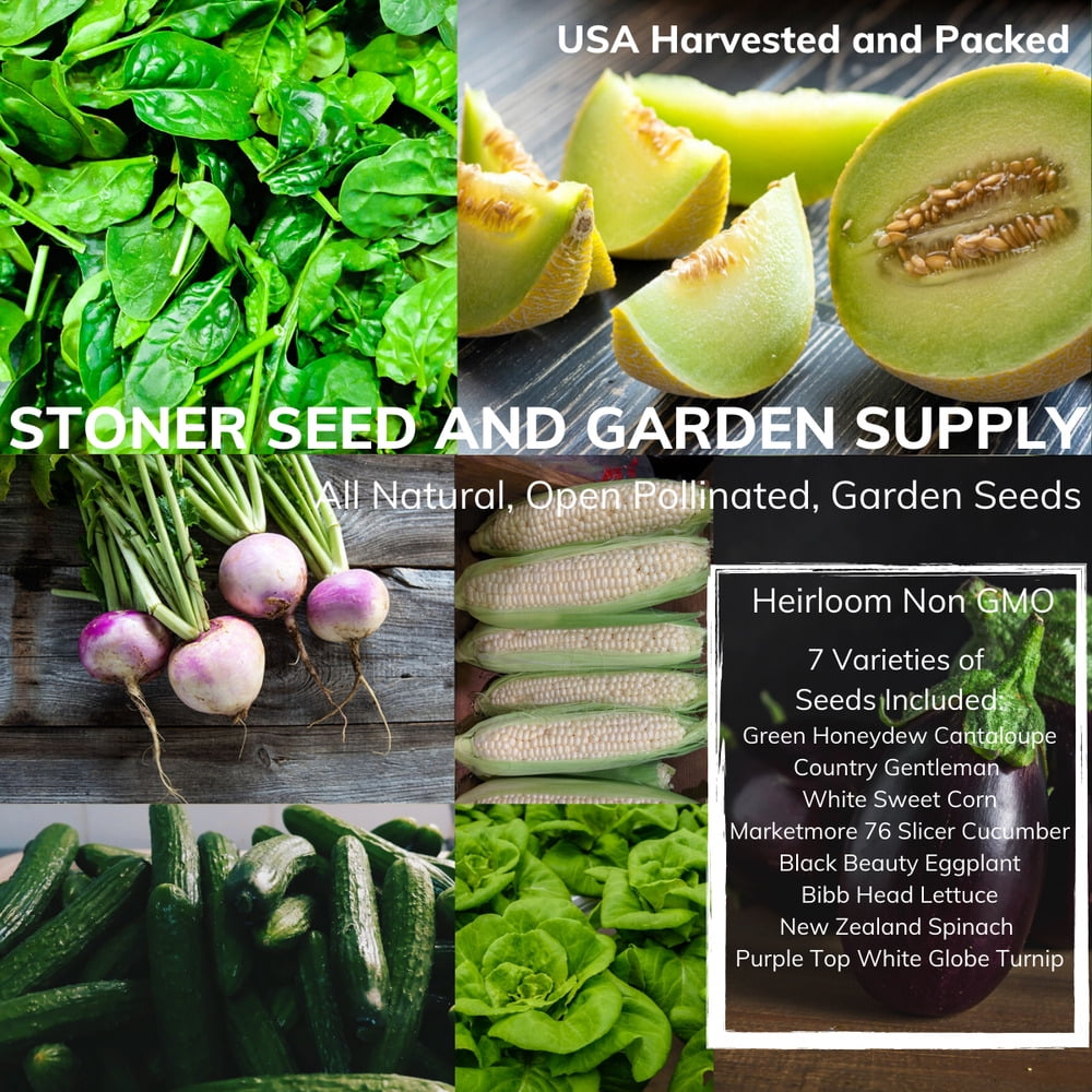 (2Pack) 350+ Heirloom Vegetable Seed 7 Variety Garden Set 4 Emergency Survival NonGMO