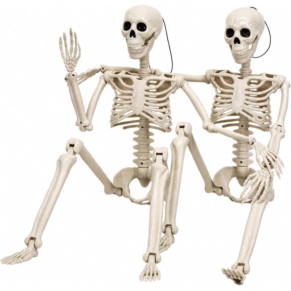 2 Pack 36.5" Halloween Skeleton, Full Body Life Size Posable Skeletons with Movable Joints, Realistic Plastic Human Bones Anatomy Model for Halloween Decorations Outdoor Yard Dcor