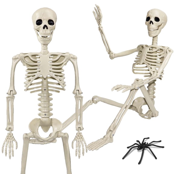 Daletu Halloween Skeleton Decoration, 2 Pack, Posable Life Size Plastic Human Bones Spooky Party Decor, 36 Inch