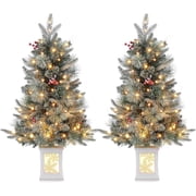 2 Pack 3FT Faux Frost Christmas Tree with Snowflake Light Box Base with 70PCS UL Listed 8 Mode Warm White Light Beads, Red Berry for Front Door, Porch, Entryway, Fireside Christmas Decoration