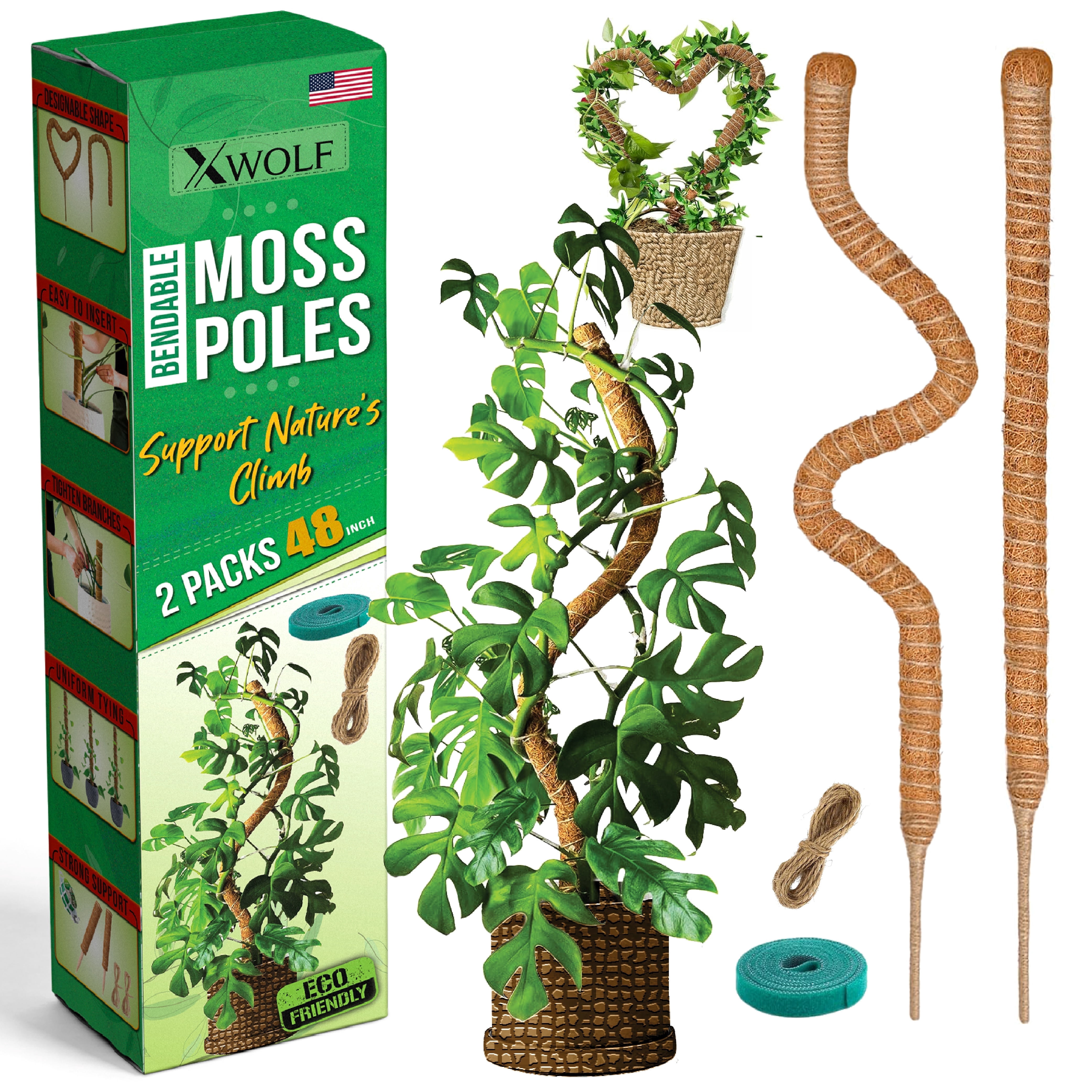 stinging nettle seeds for planting stinging nettle, Organic main image 0