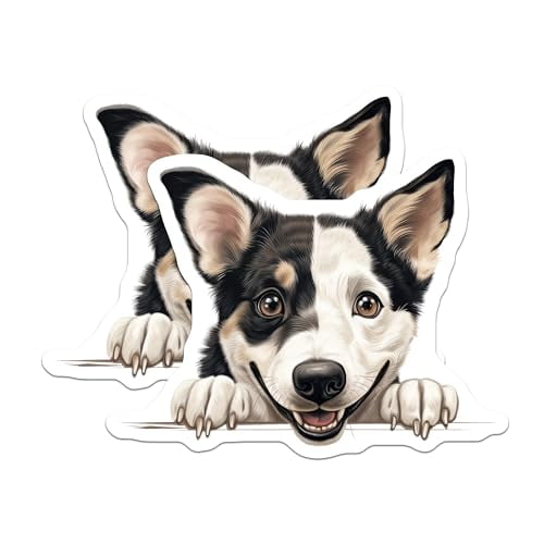 (2 Pack) 5" On Longest Side Magnet - Sticks to Smooth Flat Surfaces - Made in USA - MAG9897