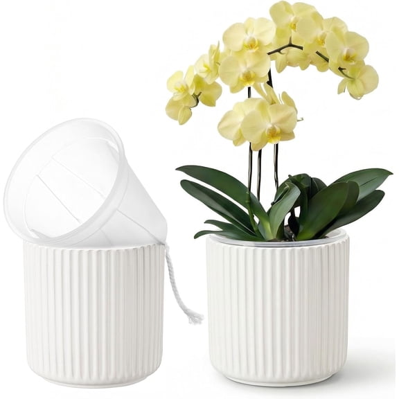 2 Pack of 6in Ceramic Cachepot with Clear Orchid Pot - self Watering Indoor Planter with Drainage for Root Visibility,semi Hydro pots for repotting Orchid,White