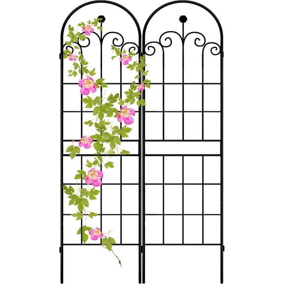 2 Pack 71x20 Inch Rustic Iron Arch Garden Trellis with Black Powder Coating