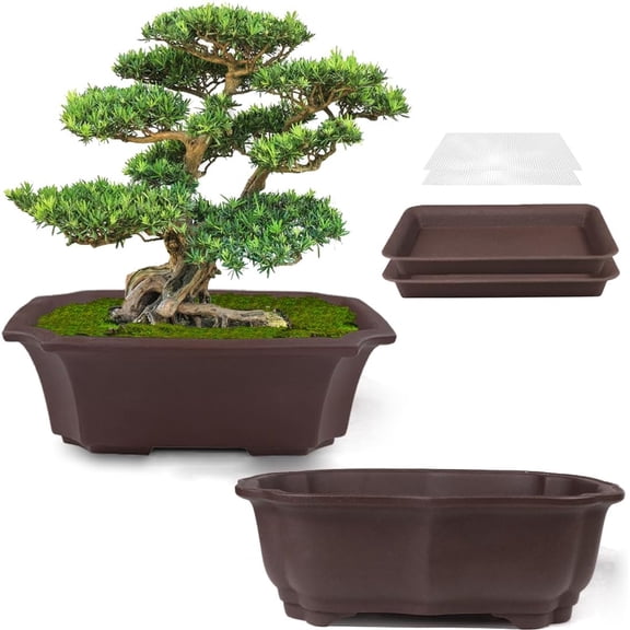 2 Pack 8" Unglazed Ceramic Bonsai Tree Pot Training Planter with Drainage Wiring Hole, Breathable Handmade Zisha Pottery Growing Plant Pot with Mesh Drip Tray Indoor Outdoor