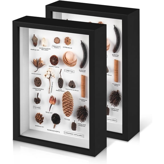 2 Pack 8x10 Shadow Box Frame with Plexiglass, Black | Wood Display Case for Memorabilia, Dried Flowers, Medal, Crafts, Tickets and Photos
