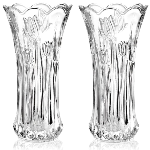 2 Pack 9.5 Inch Clear Glass Flower Vases For Centerpieces Home Wedding Office Decor
