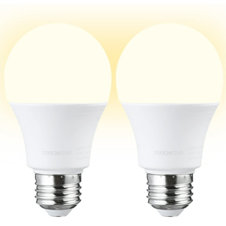 Garage 2024 door bulbs