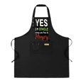 thumbnail image 1 of 2 Pack Adjustable Bib Apron with Fun Text Design - " YES I'm SHiLTE " & " steep you füs & Pliagey " - 2 Pockets for Cooking Kitchen Chef - Perfect for Men & Women, 1 of 6