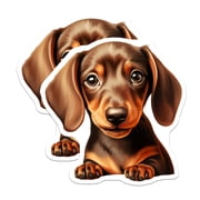2 Pack Adorable Brown Dachshund Puppy Stickers - Cute Wiener Dog Art for Pet Lovers - Doxie Breed Decals - 5" On Longest Side - Sticks to Smooth Flat Surfaces - Made in USA - BMCS24989