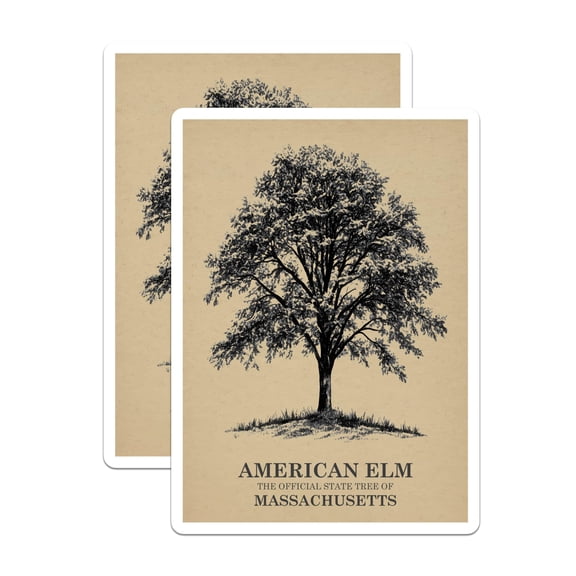 (2 Pack) American Elm Magnets - Massachusetts State Tree - Tree Decor Magnet - 5" On Longest Side - Premium Magnet - for Cars, Refrigerators, Toolboxes, Lockers - Made in USA - MAG17454