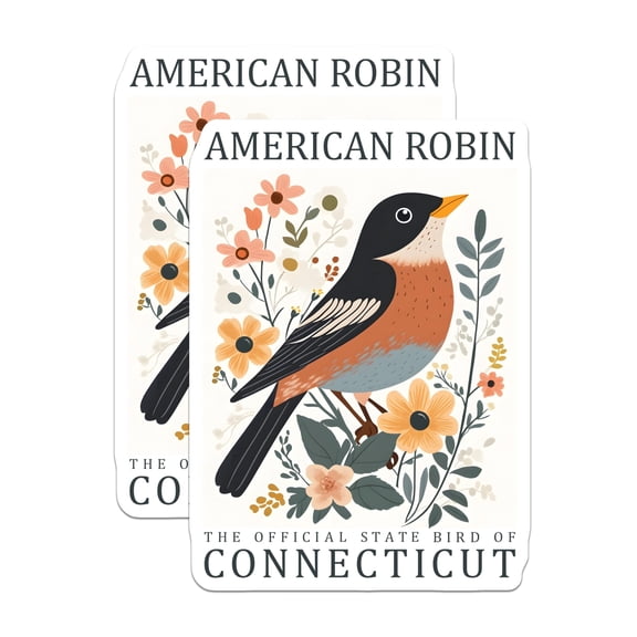 (2 Pack) American Robin Magnets - Connecticut State Bird Decor - Folk Art Wildlife Collectible - 5 Inches On Longest Side - Thick Durable Magnet - Made in USA - MAG19210
