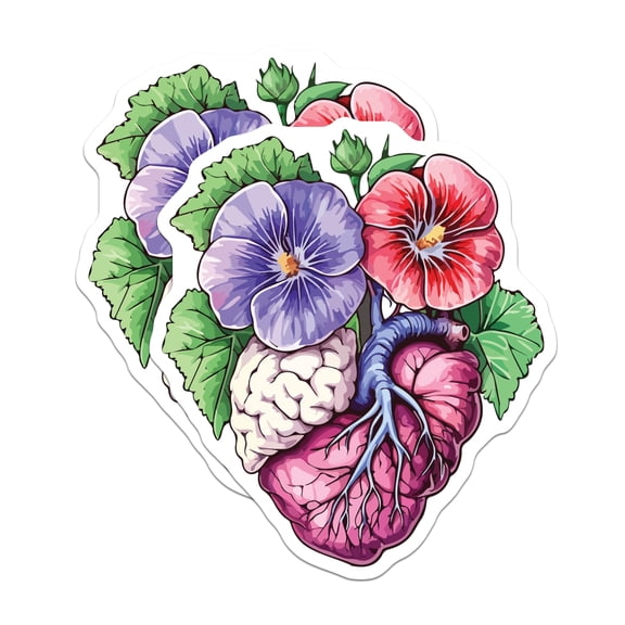 (2 Pack) Anatomical Heart Brain Magnets - Floral Science Art Decor - Unique Medical Illustration - 5 Inches On Longest Side - Thick Durable Magnet - Made in USA - MAG20129