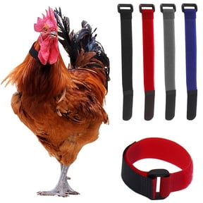 2 Pack Anti Crow Chicken Collar,Adjustable Rooster Noise Control Neck Band,Prevents Excessive Crowing for Roosters and Chickens,Comfortable Poultry Accessory,Gray