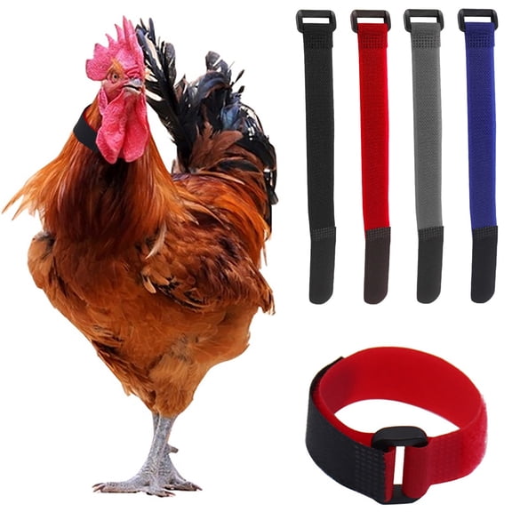 2 Pack Anti Crow Chicken Collar,Adjustable Rooster Noise Control Neck Band,Prevents Excessive Crowing for Roosters and Chickens,Comfortable Poultry Accessory,Gray