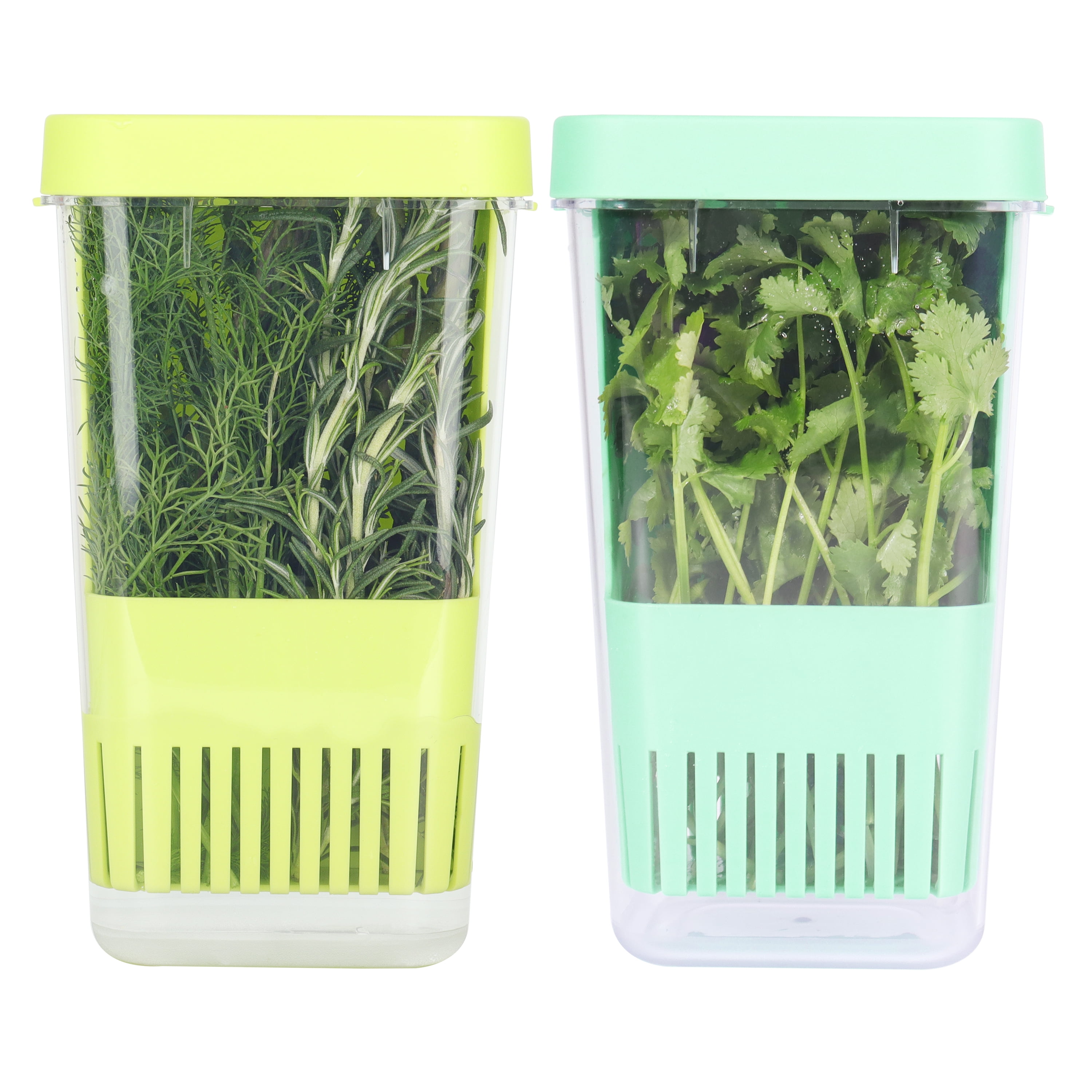 2 Pack Asparagus Storage Containers for Fridge, BPAFree Plastic Herb